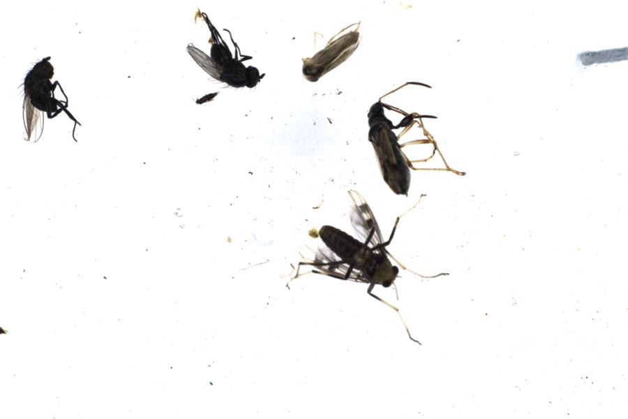 Image 14